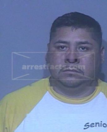 Sebastian Flores-Ramos
