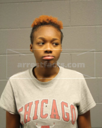 Tierra S Johnson