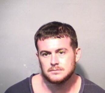 Andrew J Gibson