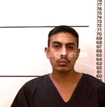 Raul T Hinojosa