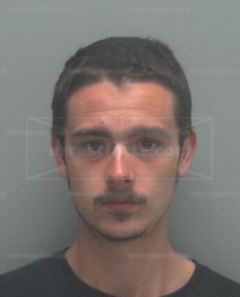 Michael Henry Lewerenz Jr