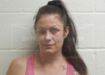 Amy Renee Lee