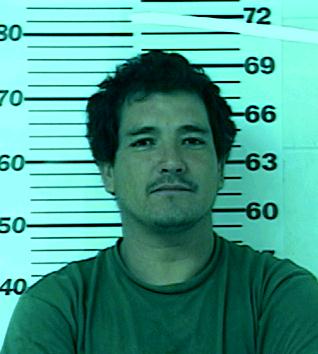 Pedro Mendoza Romero