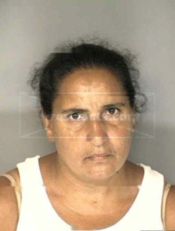 Wilma Rosa