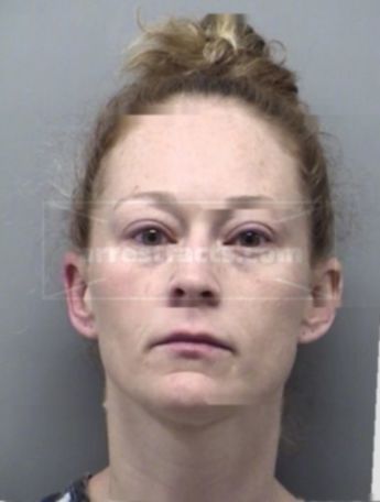 Shannon Lee Sullivan