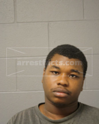 Robert R Davis
