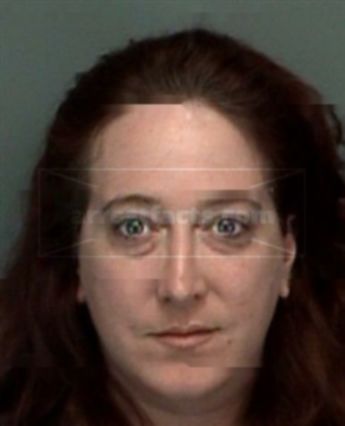 Lisa D Wheeler