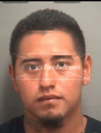 Byron M Vasquez