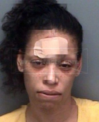 Melissa Lashay Gardner