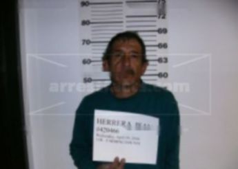 Isaias Herrera