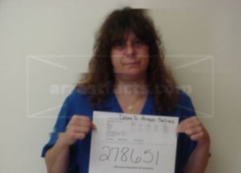 Debra D Arroyo Salinas