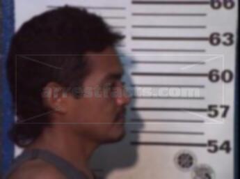 Graviel Mendoza Martinez