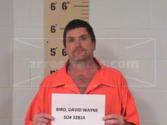 David Wayne Bird