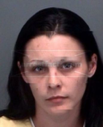 Misty Lee Brooks