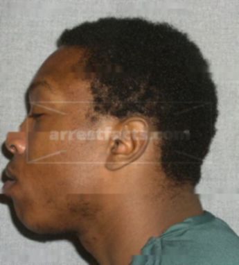 Jarvis K Webb