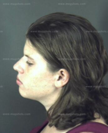 Brittani Crystal Hollenbeck
