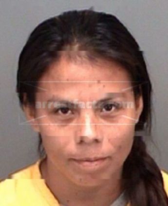 Susann Cisneros