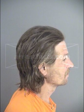 Martin David Free