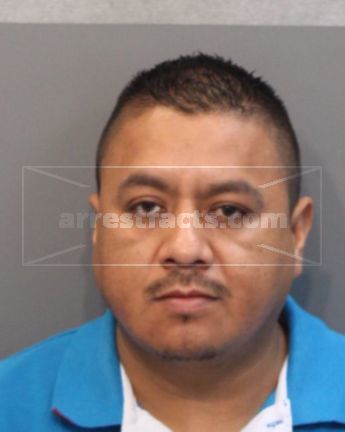 Jose N Garcia-Gallegos