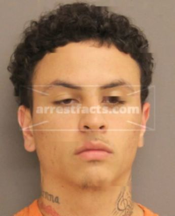 Michael Alexander Mcgee