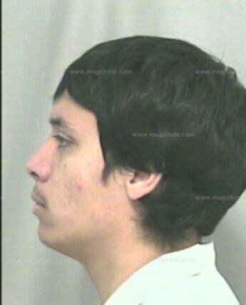 Gilbert B Williams Jr.