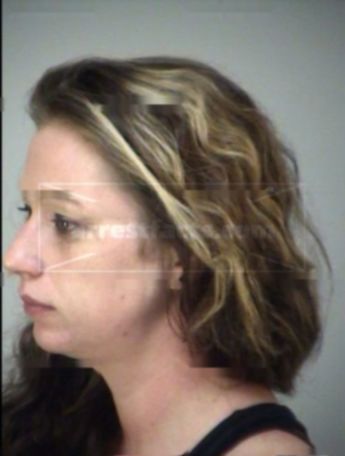 Tricia Ann Absher