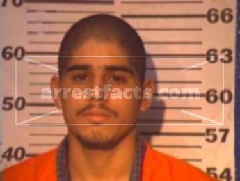 Lee Roy Luevano Alaniz