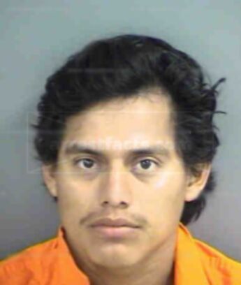 William Alexander Mejia