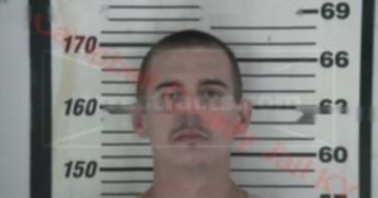 Brian Nicholas Bromen
