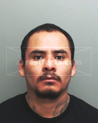 David Daniel Hernandez Gregorio
