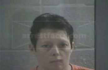 Lynn A Stephens