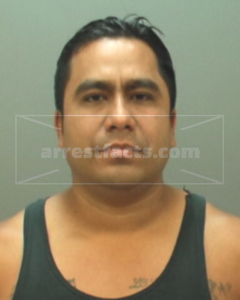 Nicholas Mendoza