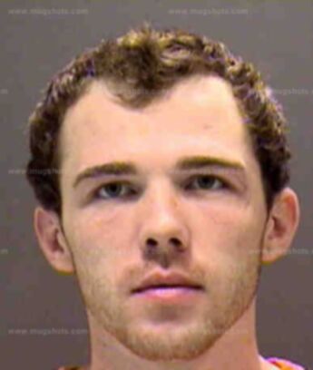 Nicholas A Maynard