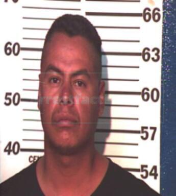 Michael Basaldua Medina