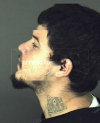 Allan Walter Flores