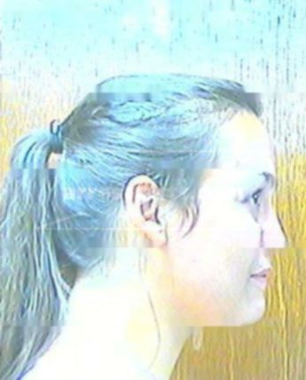 Melissa D Bryant