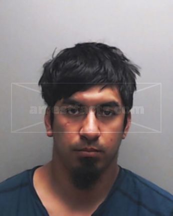 John Ryan-Arnett Carmona
