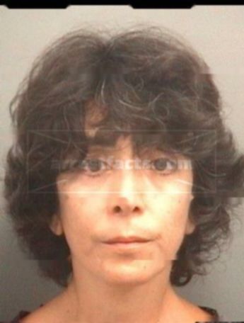 Virginia Mejail