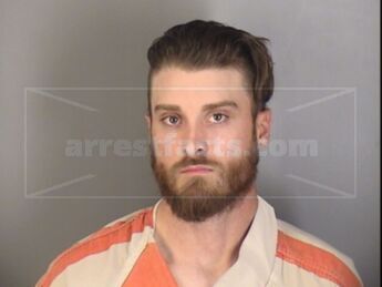 Shane D Halverson