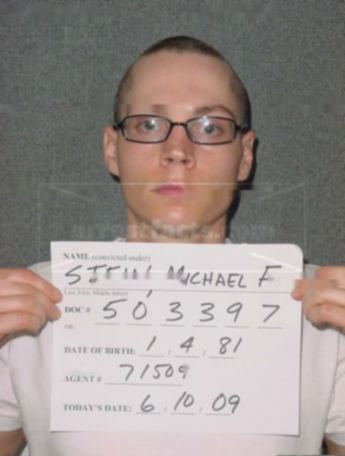 Michael F Stein