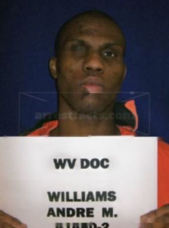 Andre M Williams