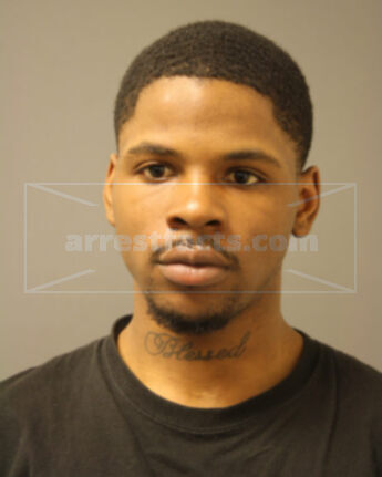 Dion D Young