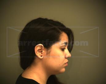 Brittany Nicole Nieto Plain