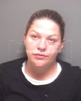Ariel Leigh Barnett