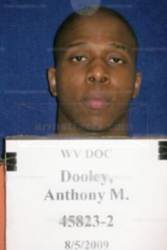 Anthony M Dooley