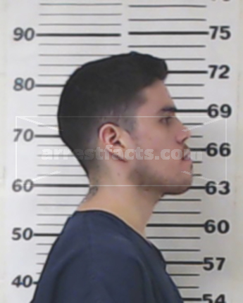 Hickman Scott Wallace