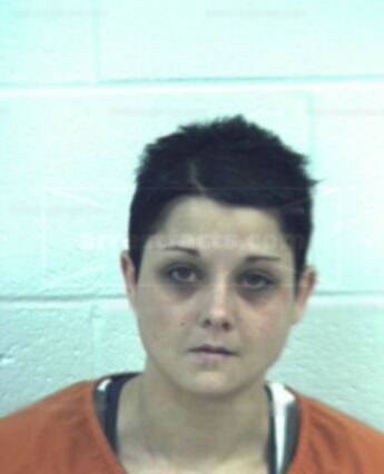Nichole L Fisher
