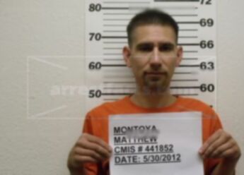 Matthew E Montoya