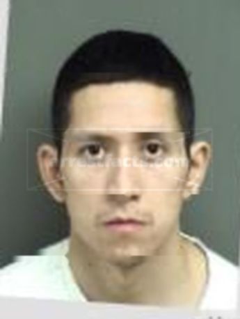 Joel Adrian Flores