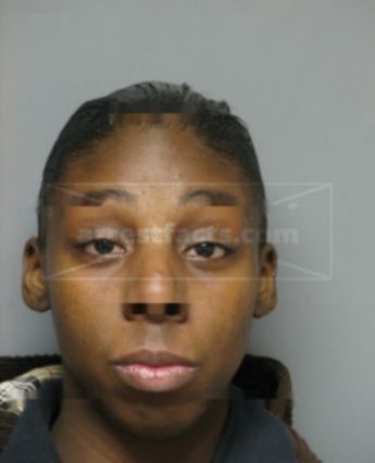 Ashley N Watkins
